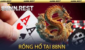 Rồng Hổ 88NN